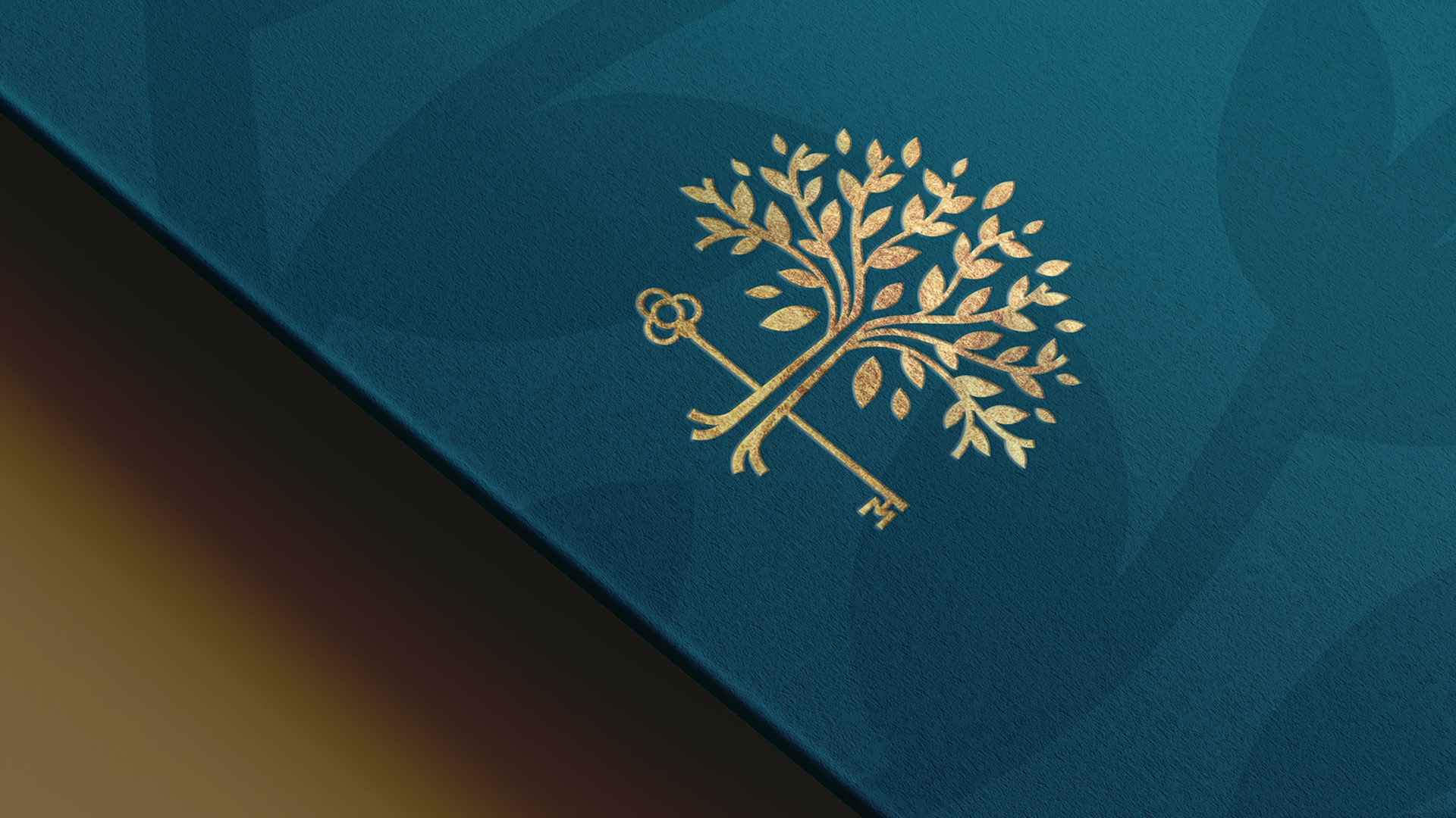 Maimon - Brand Nueve